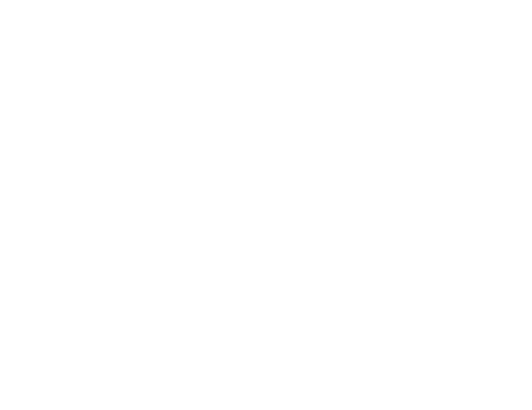 Wiesengrund Besitz GmbH & Co. KG